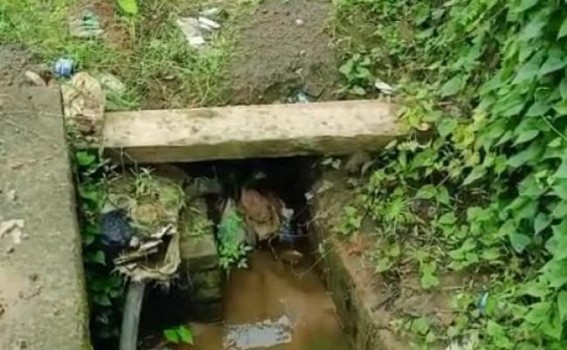 Piles of garbage created due lack of maintenance in Swasti Para, Belonia for past 4 years, alleges BJP’s Prishtha Promukh Piles of garbage created due lack of maintenance in Swasti Para, Belonia for past 4 years, alleges BJP’s Prishtha Promukh